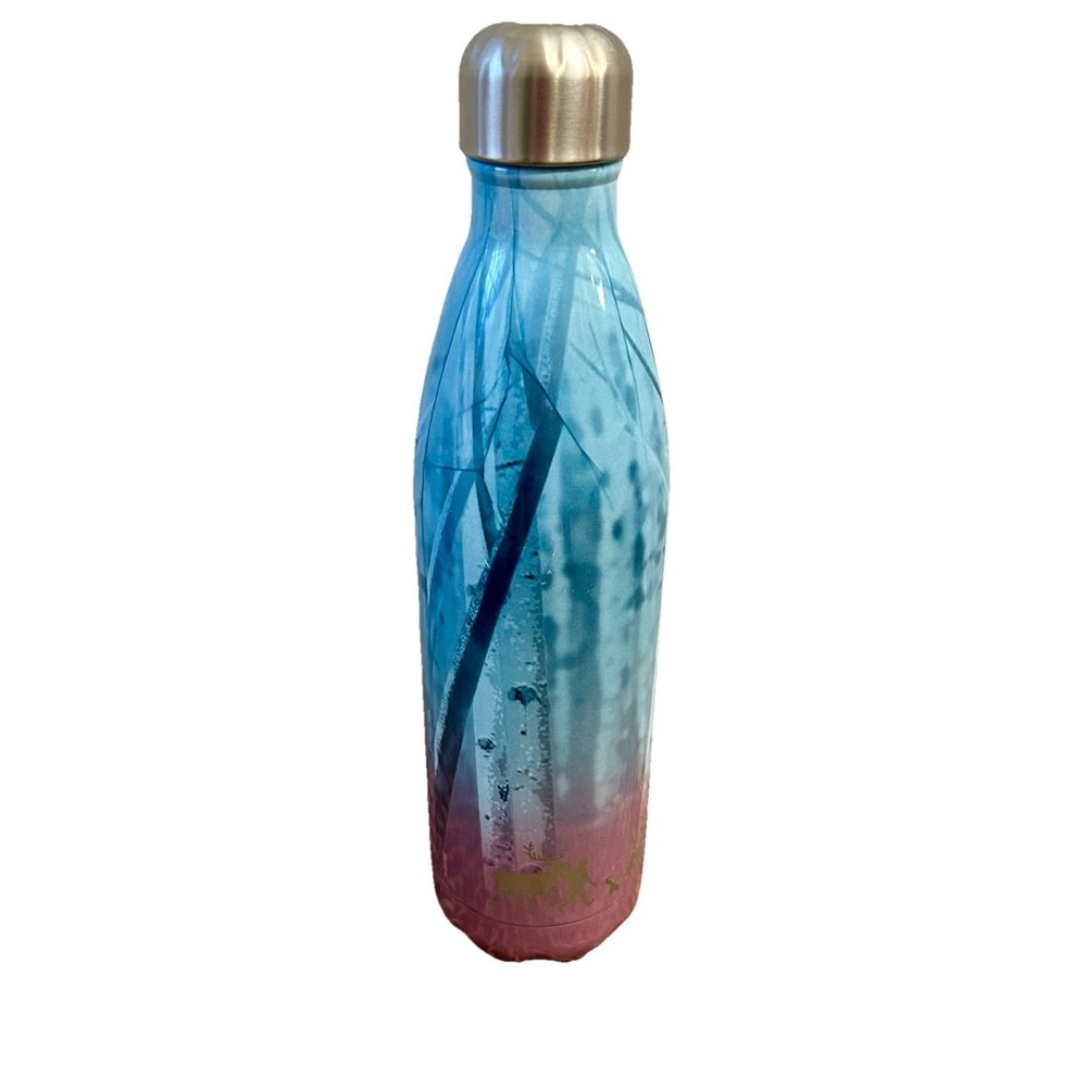 S'Well X Disney Frozen Elsa & Olaf 25 ounce Hot Cold Thermal Bottle NWOT